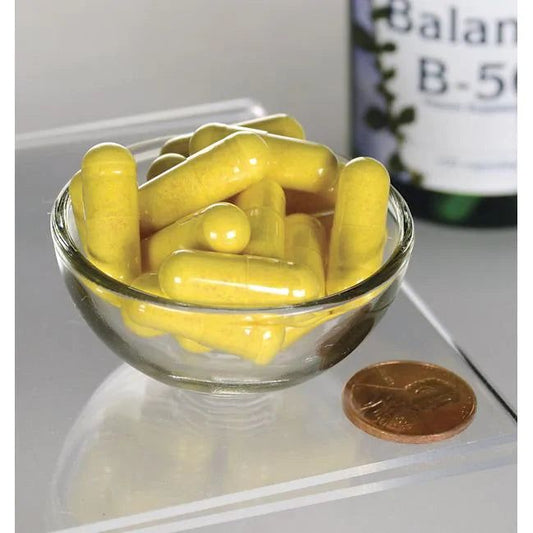 Swanson Balance B-50 Complex - Vitamins House