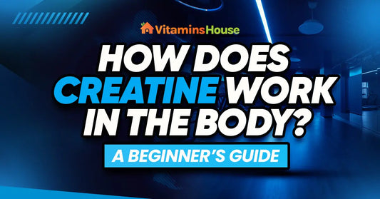 How Does Creatine Work in the Body A Beginners Guide blog image vitamins House