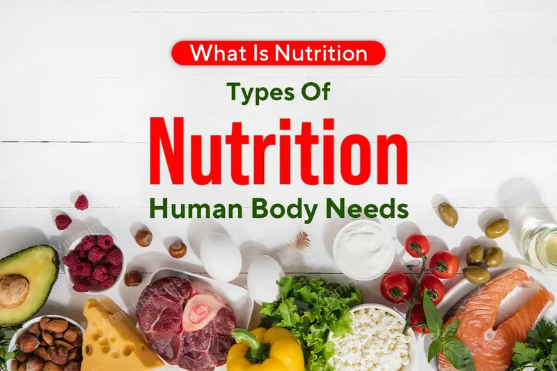 Types of Nutrition Human Body Needs Vitamins House