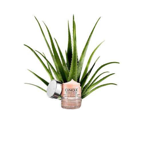 Clinique Moisture Surge 72 Hour Auto Replenishing Hydrator 50Ml - Vitamins House