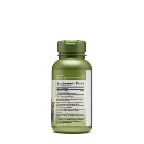 GNC Herbal Bilberry Extract 60mg, 100 Capsules - Vitamins House