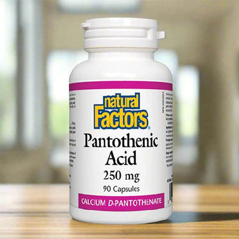 Natural Factors Pantothenic Acid (Vitamin B5), 90 Ct in Pakistan