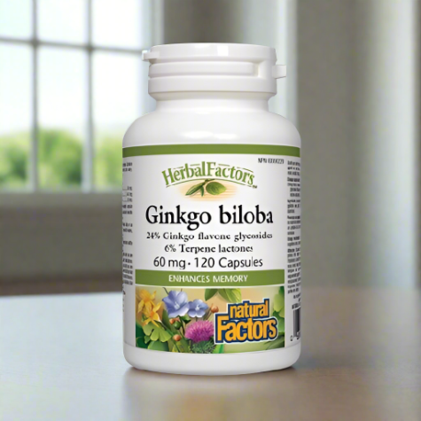 Natural Factors Ginkgo Biloba, 120Ct - Vitamins House