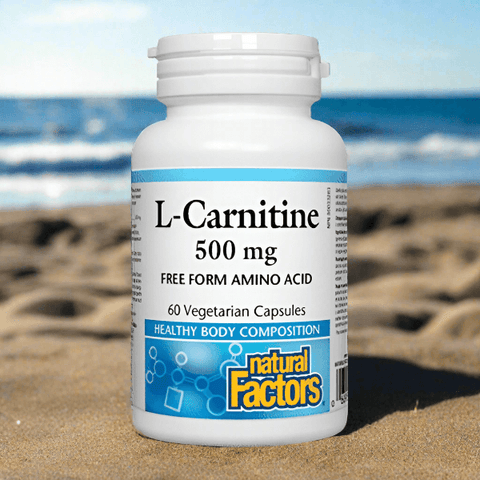 Natural Factors L-Carnitine 500mg, 60 Ct Vitamins House Natural Factors L-Carnitine 500mg, 60 Ct Vitamins House