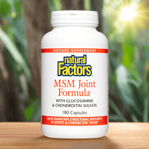 Natural Factors MSM Joint Formula with Glucosamine & Chondroitin Sulfate, 180 Ct - Vitamins House